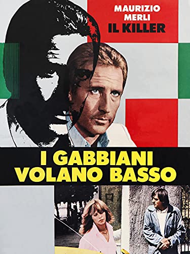  I gabbiani volano basso
