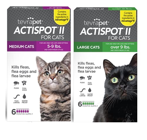 TevraPet Actispot II Flea Prevention for Cats - 6 Doses for Medium Cats and 6 Doses for Large Cats