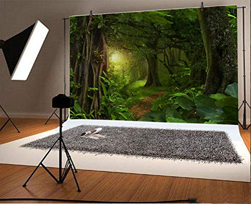 Fondo fotográfico 10x8ft para estudio y eventos miniatura 2
