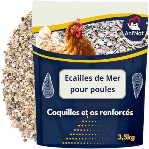 Ani'Nat Ecailles de mer pour Poules Pondeuses et Pigeons. + de variété de minéraux Que dans Les Coquilles d'Huitres. Minéraux et Calcium pour des coquilles Solides. (3,5kg)