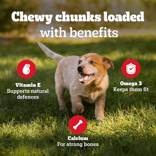 Image of Pedigree Tasty Minis Puppy (4+ Months) Dog Treats, Chicken Flavour, 125 g, Contains Omega 3, Vitamin E & Calcium, Supports Strong Bones & Teeth