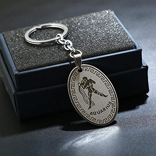 Preisvergleich Produktbild Schlüsselring, Metallanhänger, jährlich Bester Stil, einfaches, 12 Konstellationen Edelstahl Schlüsselring, Wassermann
