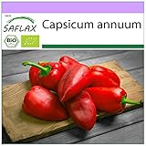 SAFLAX