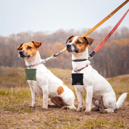 Tucnoeu 2 Stück Futterbeutel Hund, Leckerlitasche für Hunde Klein, Hunde Leckerlitasche mit Karabiner, Automatischer Verschluss, Schwarz und Grün