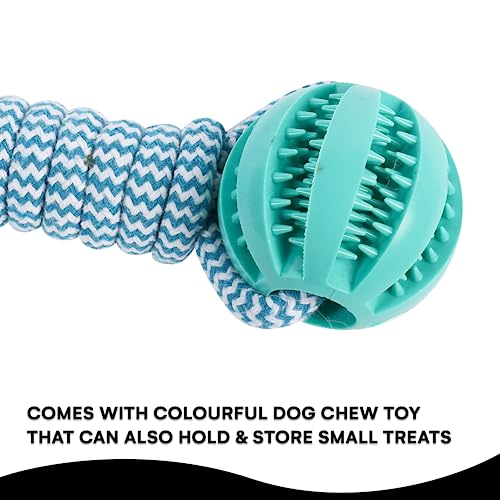Black Rhino Tetherball Set for Dogs - Heavy Duty Outdoor Dog Toy - Interactive Dog Rope Ball for Playground