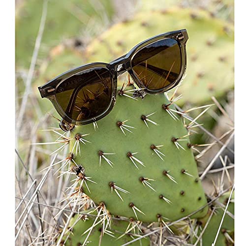 RAEN Optics Myles 533