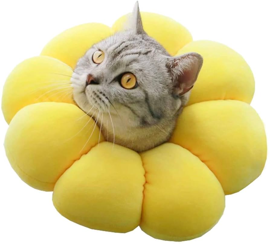 スポンジ素材 エリザベスカラー ソフト 傷舐め防止 S 黄色 スポンジ素材 エリザベスカラー ソフト 傷舐め防止 S 黄色 楽天