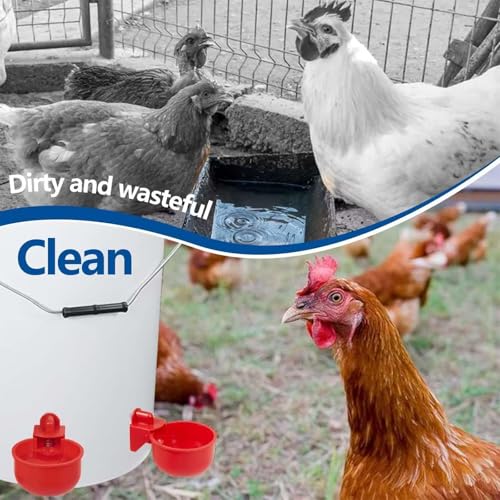 Image of Poultry Feeder and Drinker, Chicken Feeder and Drinker, Auto Refill Water System, 8-Piece Set, Durable Poultry Farm Equipment for Chicken and Duck (Birds Water Feeder)