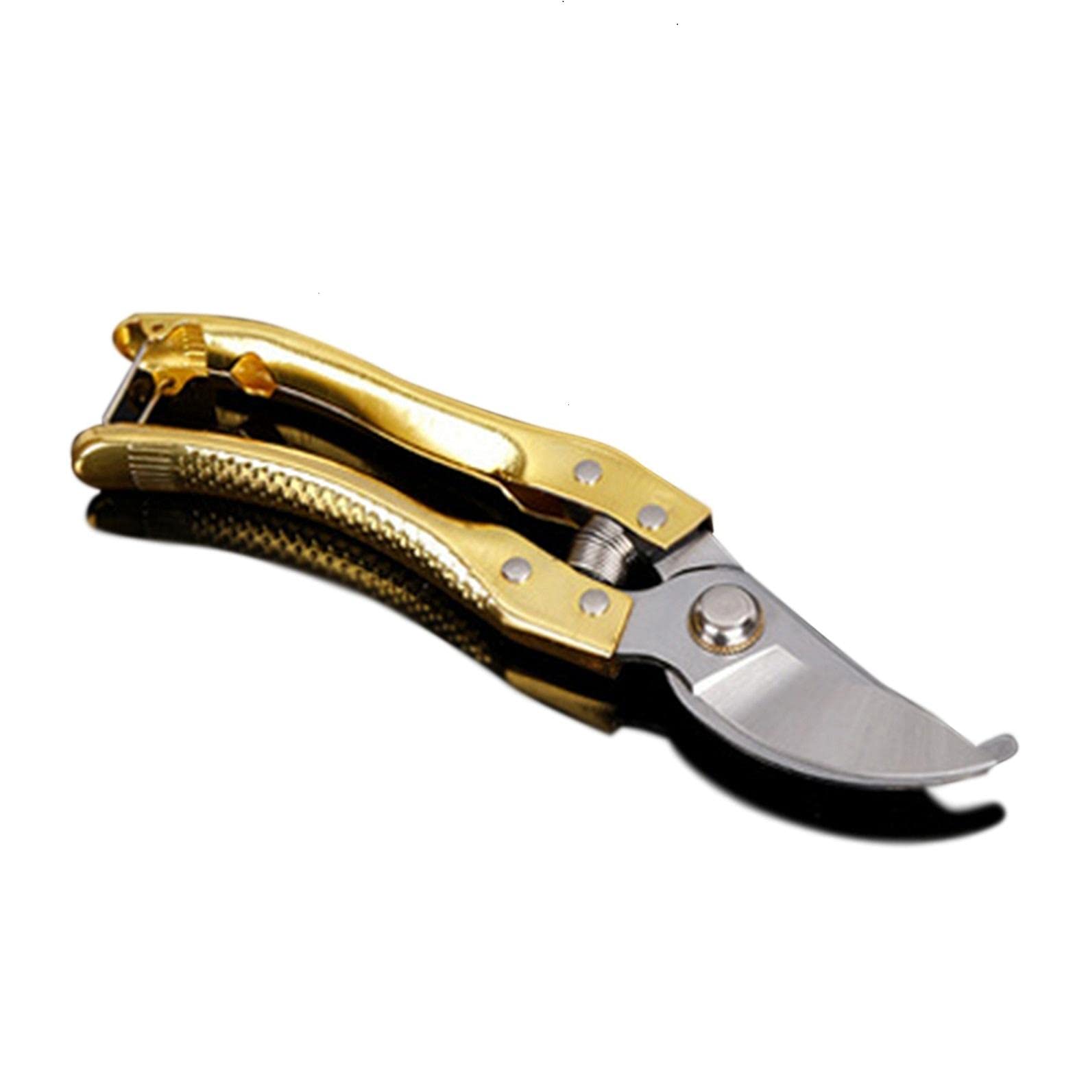 Candeon Gold 8 Inch Pruning Shears - Gardening Scissors Bypass Pruners, Tree Trimmers, Hand Pruner Clippers(Gold)