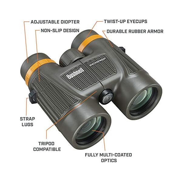 Bushnell H2O Xtreme 181042C Kompaktes wasserdichtes Fernglas mit vollständig mehrfach beschichtetem Objektiv für Jagd… – Bild 3