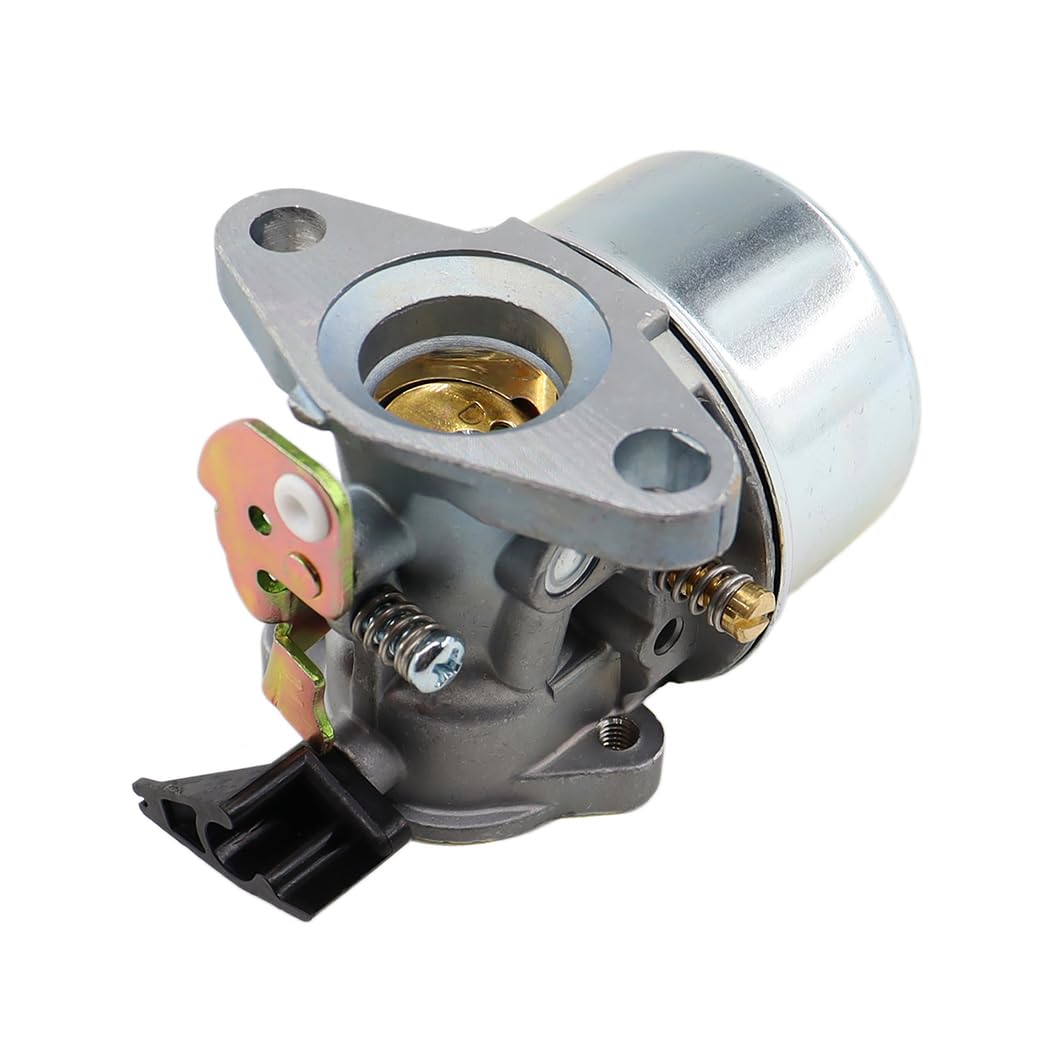 MCHNIC Carburatore con guarnizione per motori Briggs & Stratton Quantum 45 50 55 XM55 XTE40 XTE50 625er 675 sostituisce 494216 494217 498965 698056 MTD Wolf 2069029