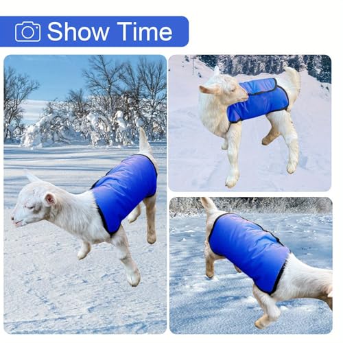 NIUGRECF 2Pcs Cobertor de Cabra para O Inverno Casaco de Cabra À Prova D'Água E Vento para Clima Fr