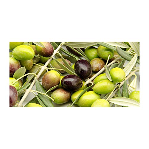 Crédence de cuisine 100x50cm en verre trempé vert olives