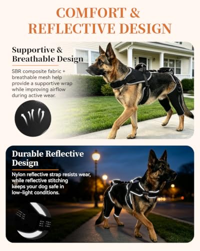 Image of Adjustable Support Dog ACL Brace Hind Leg,Both Leg-Upgraded-Custom