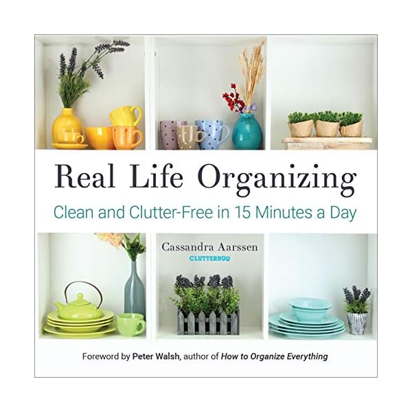 Real Life Organizing: Clean and Clutter-Free in 15 Minutes a Day (Clutterbug)