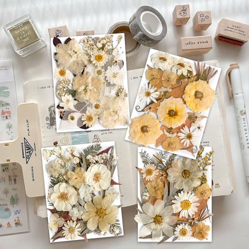 Image of 96PCS Vintage White Dried Pressed Flowers for Resin Craft - YouthBro Real Nature Flowers Set with 50 PCS Butterfly Stickers for DIY Scrapbook Art Floral Decors