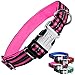 Black Rhino - Classic Striped Adjustable Dog Collar for Small Medium Large Breeds | 3m Reflective Threading | 4 Bright Colors - Matching Leashes Sold Separately (Pink Striped, Medium)