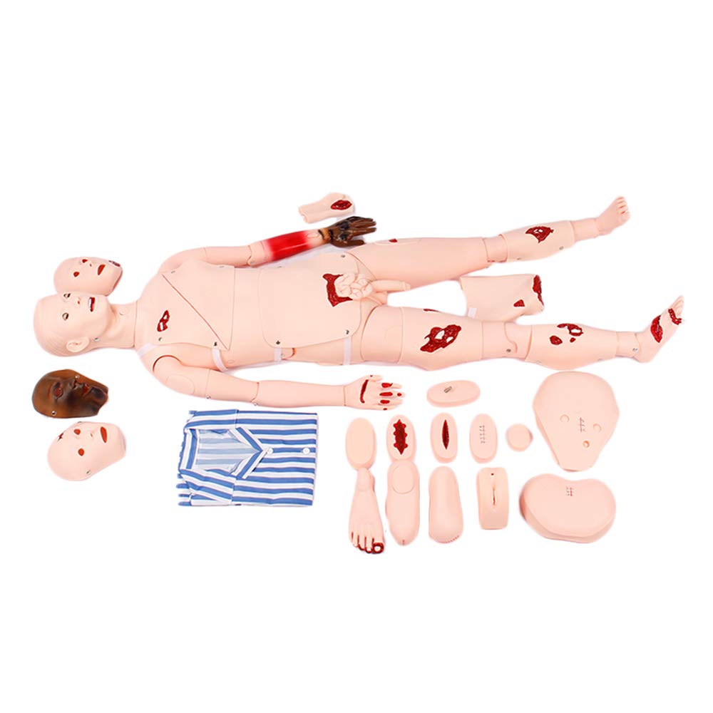Sjdopulse A Multifunctional Human Care Model - Bandaging Training Model Traum Simulator - Full-Featured Traum Care Manikin - For Medical Practice Training Model (A)