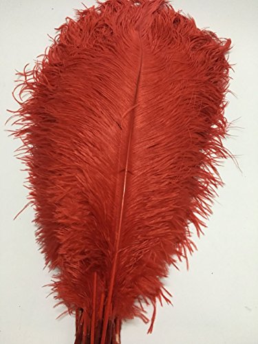 AMIZOB Pack of 15pcs Natural Bleached Dyed Ostrich Feathers 17.7~19.7inch Plumes Wedding Centerpieces Home Decoration (red)
