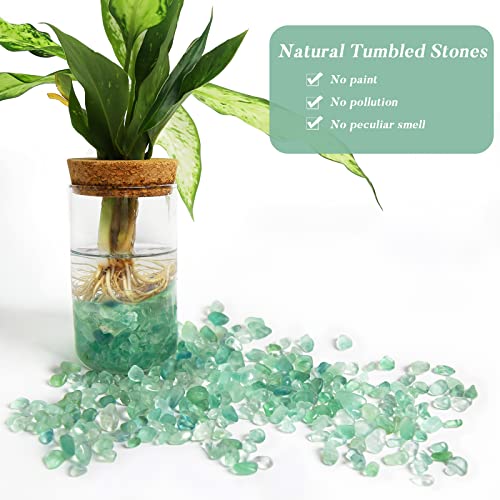 Image of QICQDRAM Natural Green Flourite Crystals Bulk 0.9 Lb /405g Small Tumbled Chips Crystal Stone Decorative Pebbles for Home Decoration & Fish Turtle Tank, Vase Filler, Plants Decor