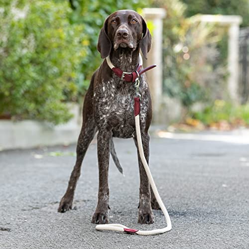 HUGO & HUDSON Luxury Dog Lead Round Rope & Leather Leash with Brass Fittings, Burgundy Length 180cm - Image 2