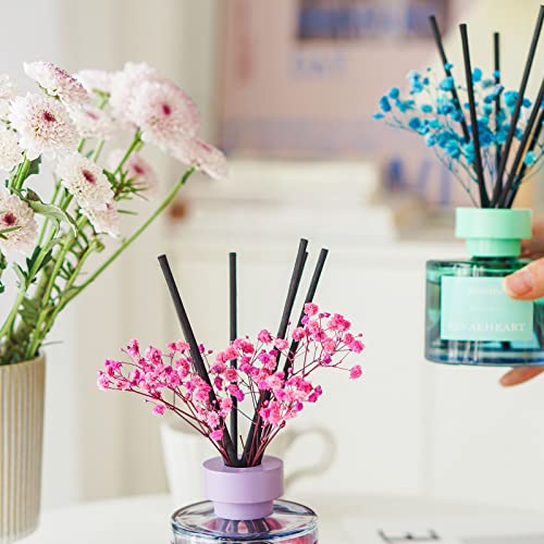 Nevaeheart Preserved Real Flower Reed Diffuser, Lilac/Red/Reed Diffuser Set, Oil Diffuser & Reed Diffuser Sticks, Home Decor & Office Decor, Fragrance And Gifts #TOP4