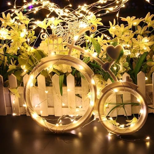 Image of HashWOW Copper Fairy String Lights 5M - USB Powered Decorative LED Wire Lights for Bedroom, Party, Garden & Wedding Decor (Warm White)
