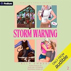 『Storm Warning』のカバーアート