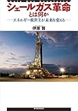 シェールガス革命とは何か―エネルギー救世主が未来を変える