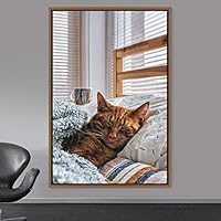 Framed Canvas Wall Art Cat Animals Cat Chic Multicolor Photography Urban - 16x24 inches
