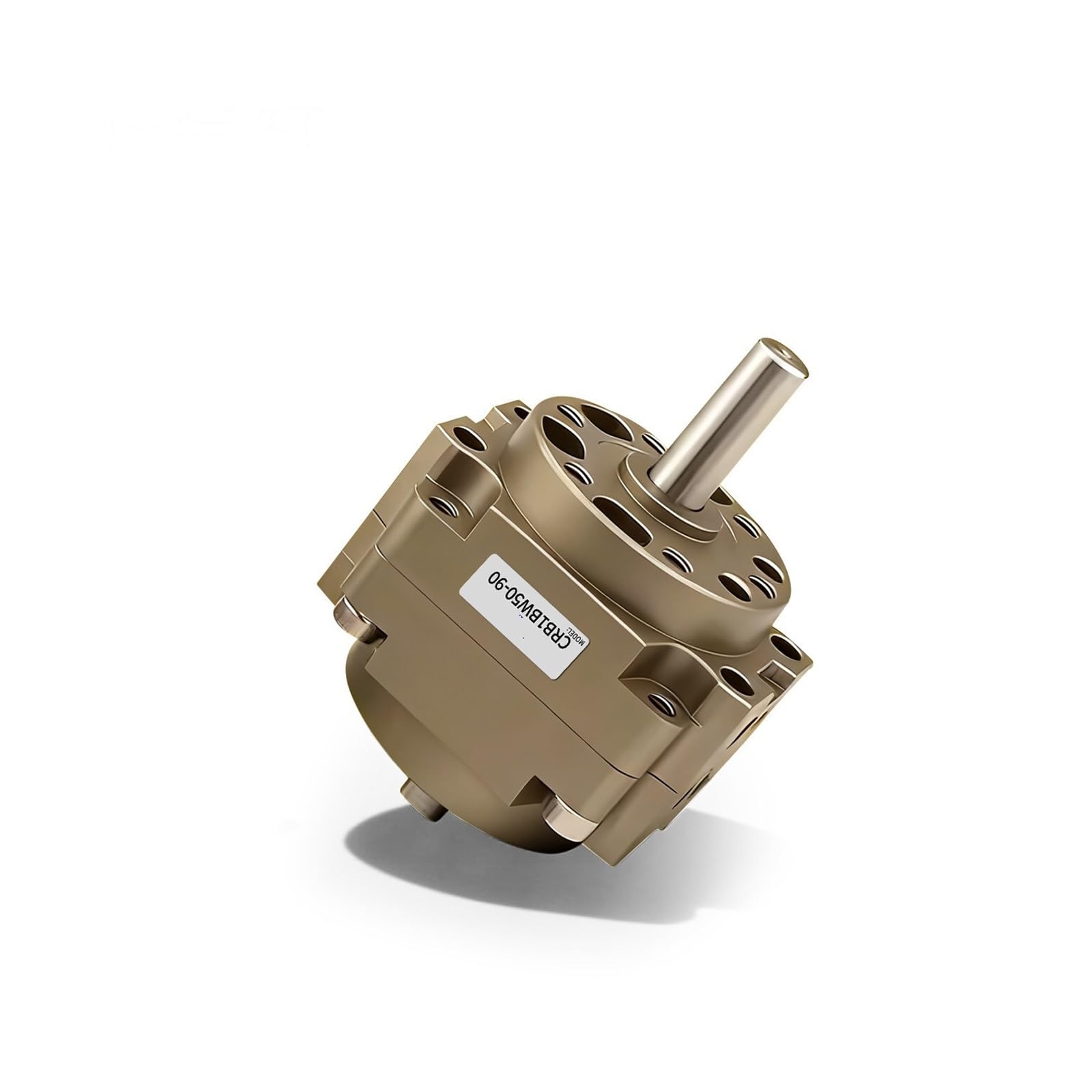 Cylindre rotatif pivotant à palettes CDRB1B1W/CRB1BW50/63/80/100-90180270 (CRB1BW80-180S)
