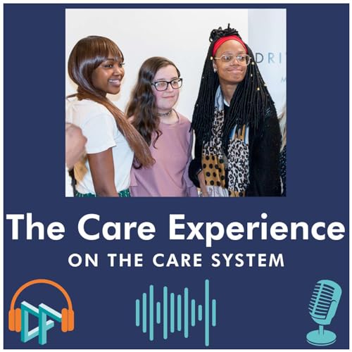 Page de couverture de Nicholl Hardwick - The Care System