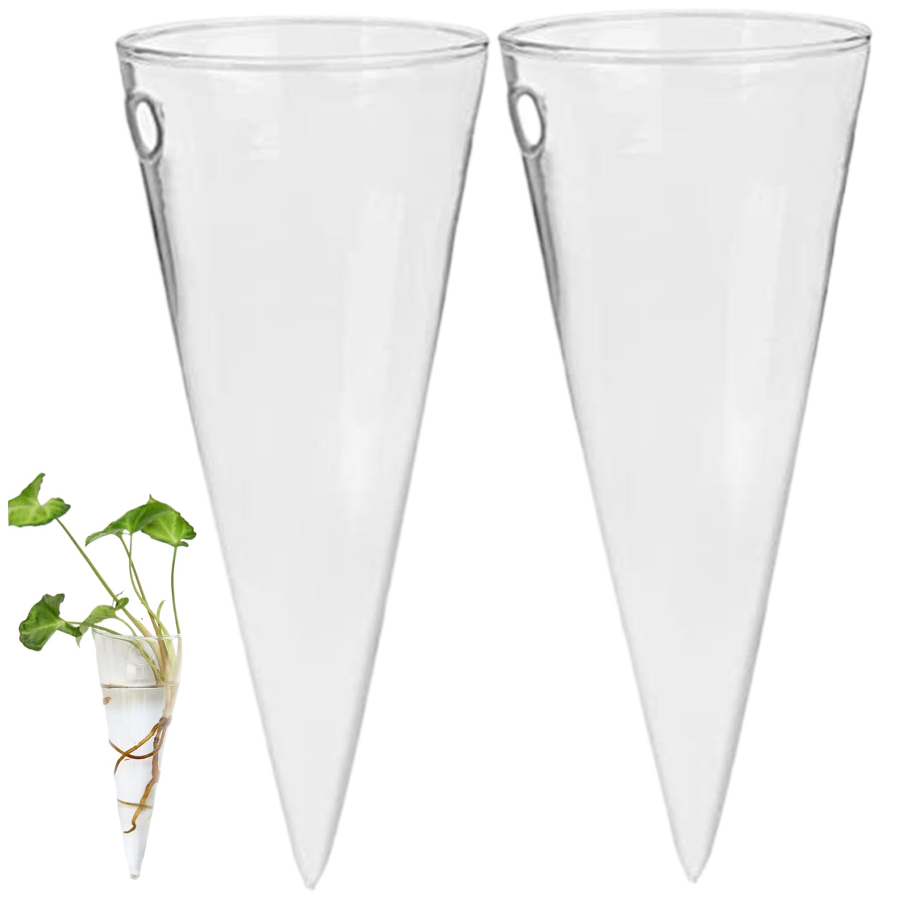 Vase mural en verre suspendu pour créer un jardin vertical chez soi