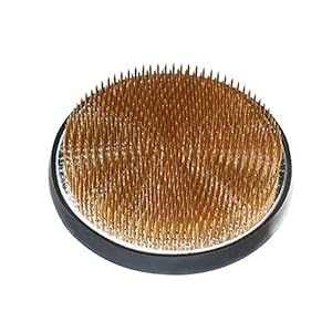 Steelfever Runder Blumenigel 8.3 cm Kenzan