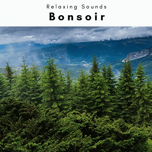 Enjoy Life, Gain Sleep Nature Sounds for Unique Dreams