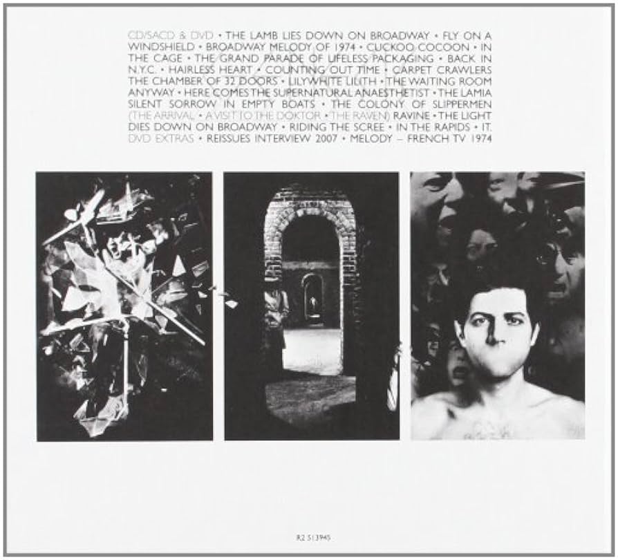 廃盤 7SACD＋6DVD GENESIS ジェネシス 1970-1975 1970-1975 (7 CD & 6 DVD Set): Genesis: Amazon.ca: Music