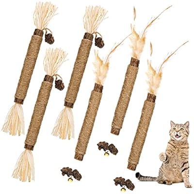 Dacitiery Silvervine Chew Sticks Cat Toys, 6 Pack Natural Cat Teeth Nip Cleaning Teeth Chew Catnip Toys for Indoor Cat Teeth Cleaning Kitten Teething and Stress Release