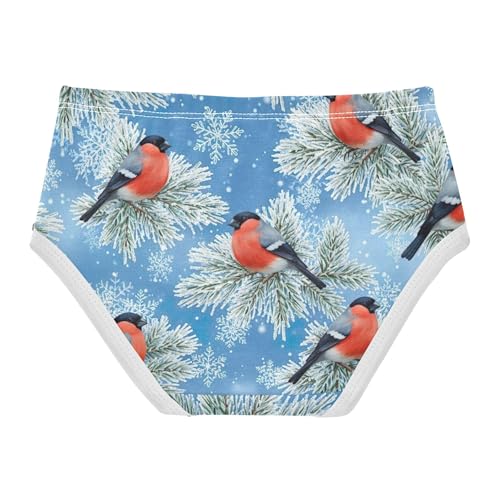 Aesthetic Toddler Underwear Floral 2t Cotton Panties Little Girl Red Birds Blue Sky Underpants Briefs2