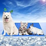 🐾 【Alfombrilla de enfriamiento para mascotas con autoenfriamiento】 El material interno es un gel 100% no tóxico, seguro para personas y mascotas. Cuenta con tecnología de gel activado por presión y puede crear una sensación de enfriamiento inmediata y continua. La esterilla de gel autorefrigerante es una forma segura y eficaz de mantener fresca a su mascota durante las olas de calor.