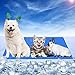 Alfombrilla de Refrigeración para Perro,RANJIMA Enfriamiento para Camas de Mascotas,Manta Refrigerante Gato,65 x 50cm Alfombrilla Refrescante para Perros Gatos Animales