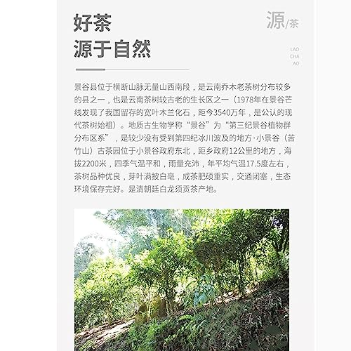 Thé Pu-Erh digestion difficile Zhenwei Hao 2016 solution naturelle après-repas 357g - 5