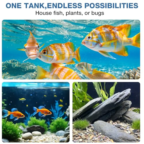 Image of 20 Gallon Rectangular Fish Tank, Rimless Ultra Clear Nano Aquarium