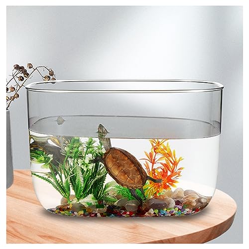 29*19*19cm ���T ���� ���^���K���ɓK���Ă��܂� �T ����P�[�X �A�N���� ���������x ���J�������̂݁i���̕t���i�͏����j