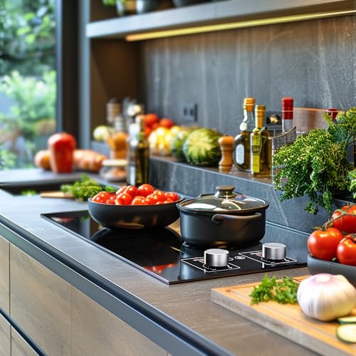 Image of ADVWIN 2 Burner Electric Cooktop,110v Electric Cooktop 1800W with Knob Control,12 Inch Countertop & Built-in with Child Safety Lock, Timer, 9 Power Levels and Over-Temperature Protection