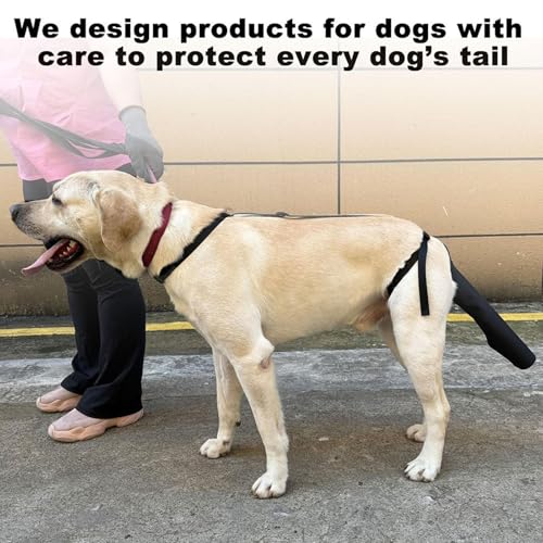 Schwanzschutz für Hunde – Verstellbare Schutzbandage für verletzte Hundeschwänze, Weiches und atmungsaktives Material zur Heilungsunterstützung | Wundpflegehilfe zur Vermeidung von Leckwunden, Schutz