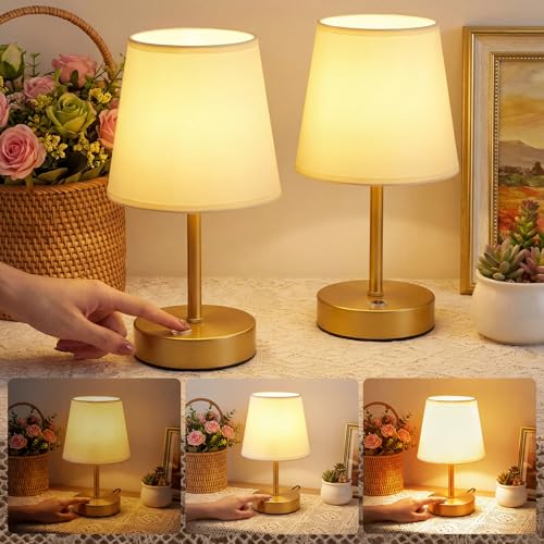 Image of Warmiehomy Touch Bedside Lamps Set of 2, Modern 3-Level Dimmable Table Lamp, Portable USB Rechargeable Small Touch Lamps Bedside Night Light for Bedroom, Living Room, Nightstand (Bulb Included), Gold
