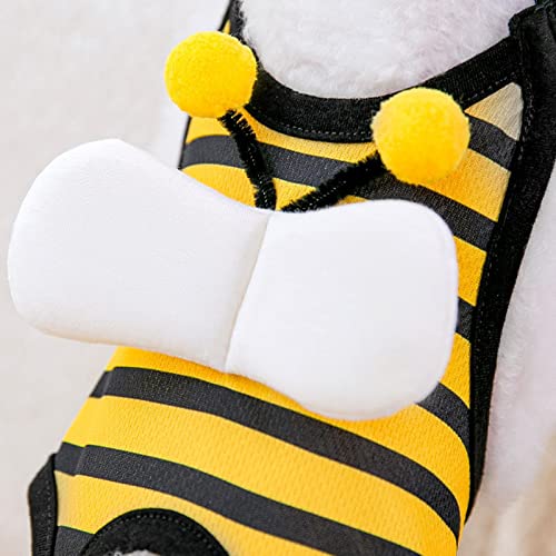 Image of Female Dog Sanitary Panties, Breathable Lightweight Puppy Menstrual Diaper Reusable Skin Friendly Cute for Summer (M (Recommended Weight 3.5‑7.5kg / 7.7‑16.5lb))