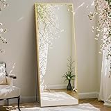 DUMOS Full Length Mirror with Stand 64