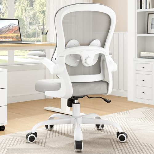 SOMEET Ergonomic Mesh Office Chair