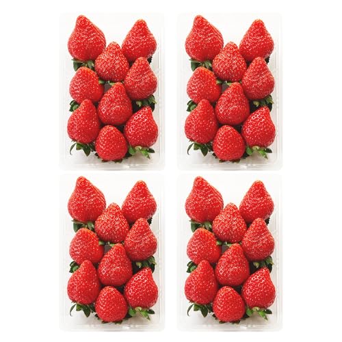[定期便]福岡県産あまおう 270g×4パック[3回定期便][2027年2月頃発送開始][配送不可地域:離島]